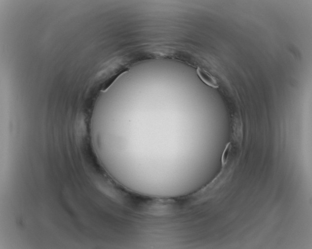 X0000115590128200911100939