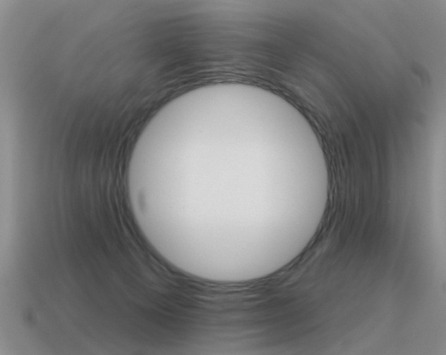 X0000115590129200911100939