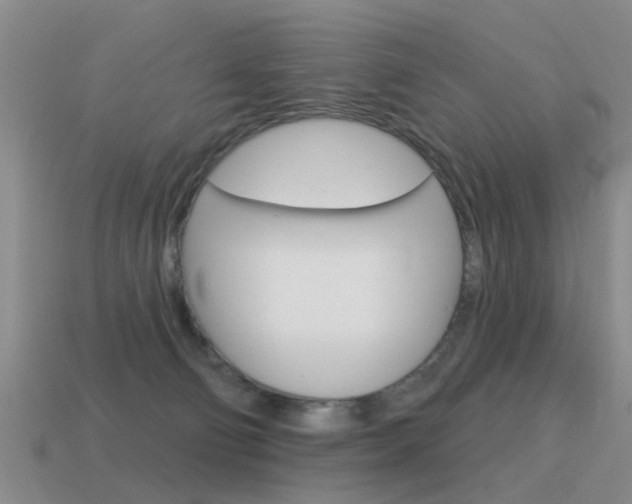 X0000115590130200911100939