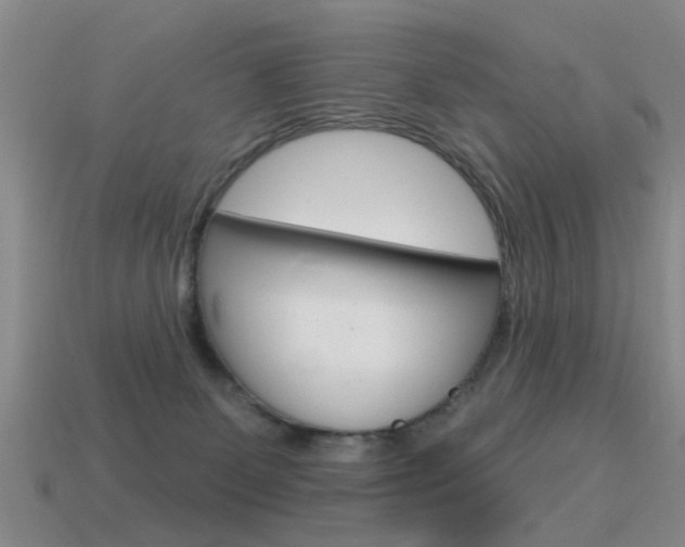 X0000115590131200911100939