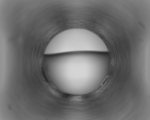 X0000115590132200911100939