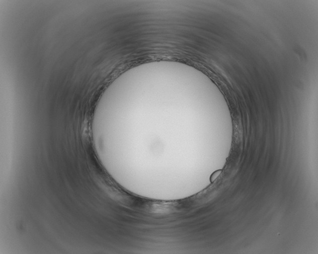 X0000115590134200911100939