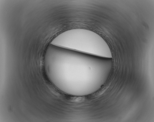 X0000115590135200911100939