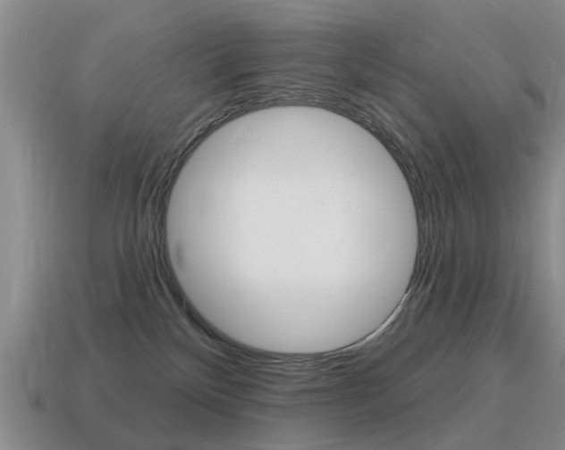 X0000115590136200911100939