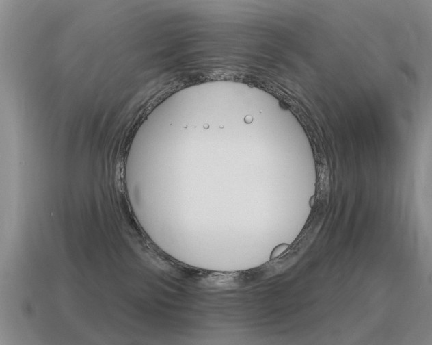 X0000115590138200911100939