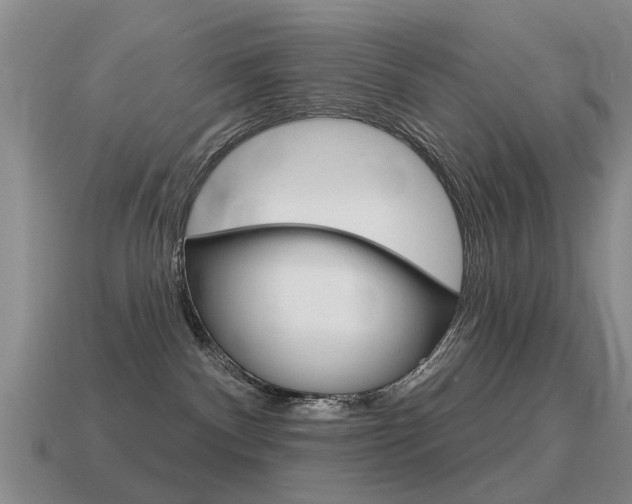 X0000115590140200911100939