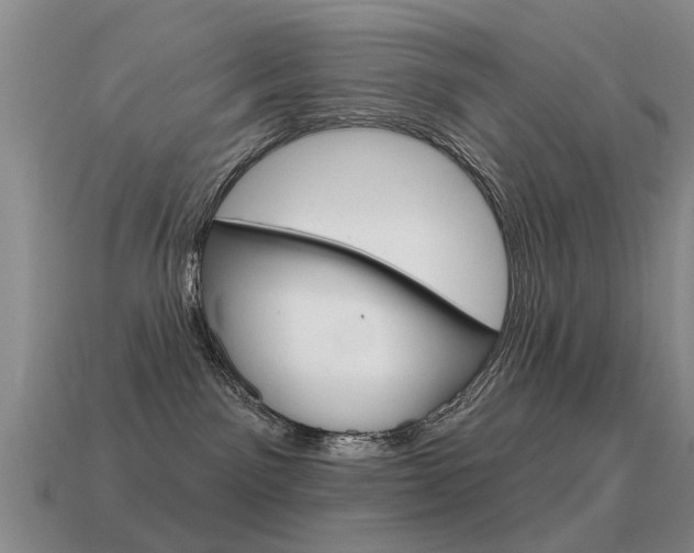 X0000115590141200911100939