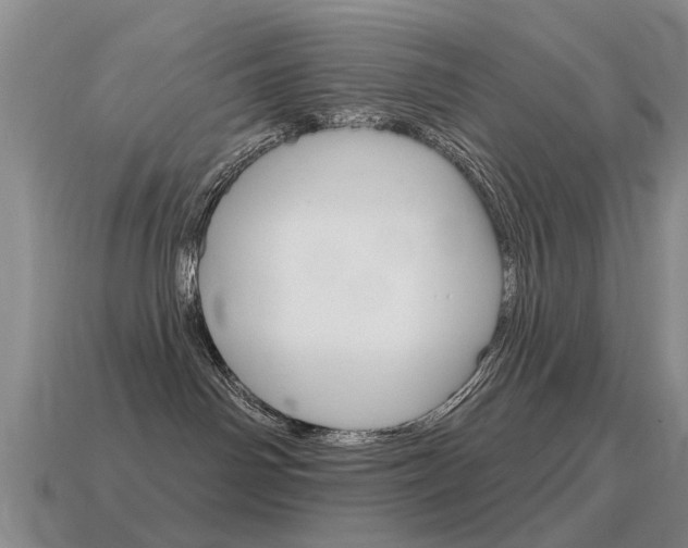 X0000115590142200911100939