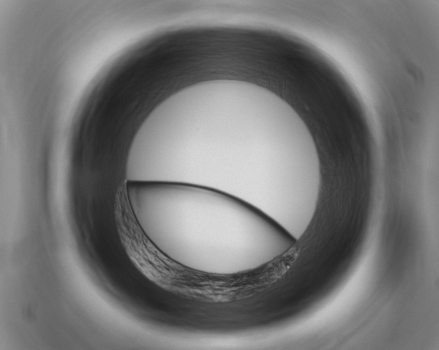 X0000115590143200911100939