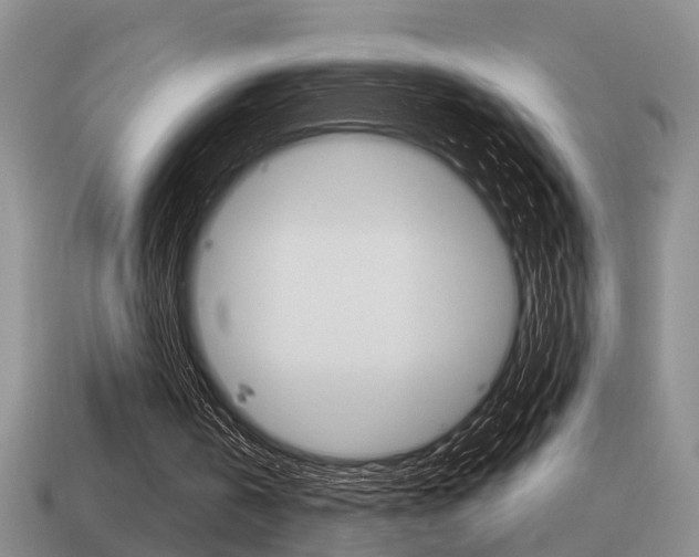 X0000115590146200911100938