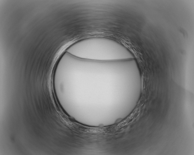 X0000115590147200911100938