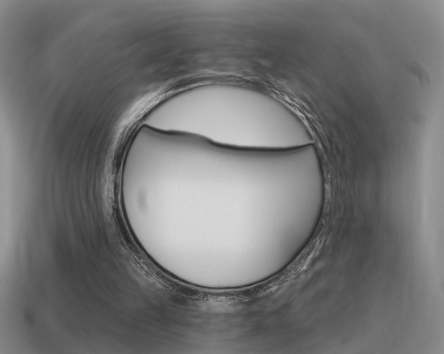 X0000115590149200911100938