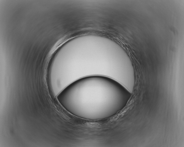 X0000115590150200911100938