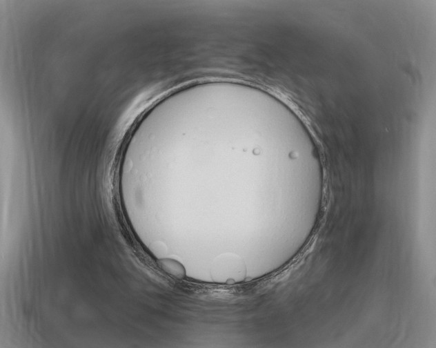 X0000115590151200911100938