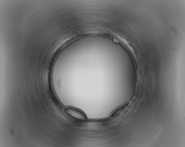 X0000115590154200911100938