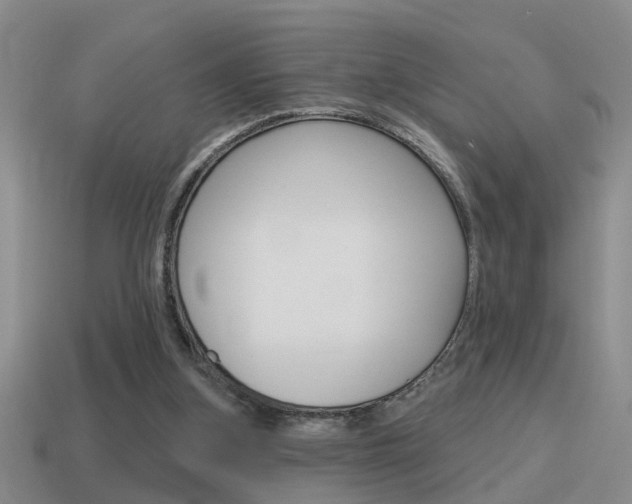 X0000115590155200911100938