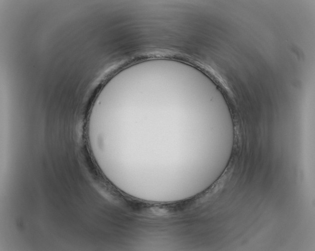 X0000115590159200911100938