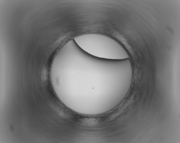 X0000115590161200911100938