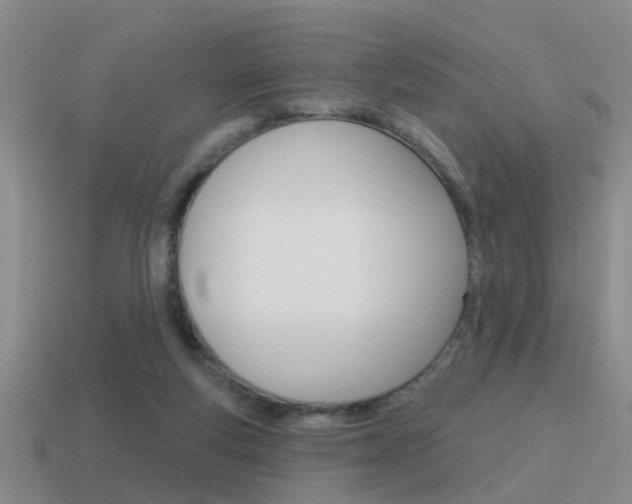 X0000115590163200911100938