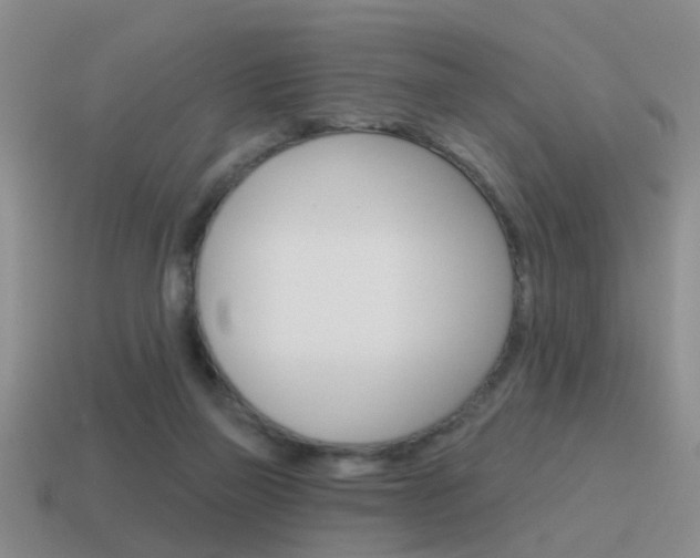 X0000115590165200911100938