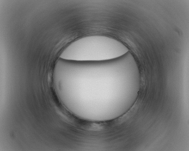 X0000115590166200911100938