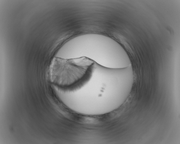 X0000115590167200911100938