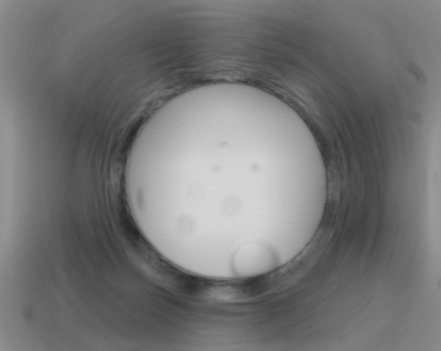 X0000115590171200911100938