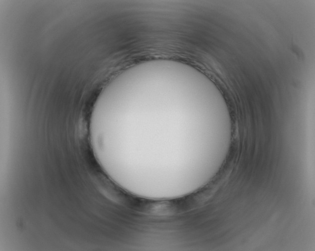 X0000115590173200911100938