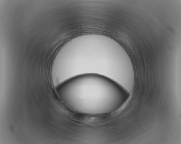 X0000115590174200911100938