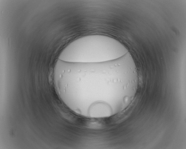 X0000115590175200911100938