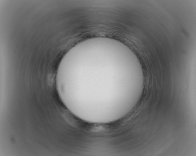 X0000115590177200911100938