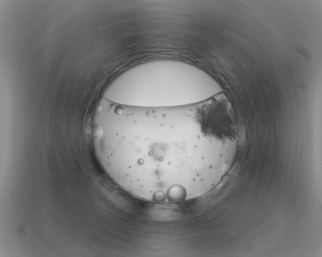 X0000115590179200911100938