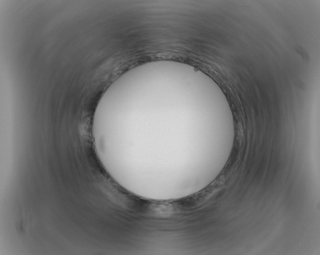 X0000115590181200911100938