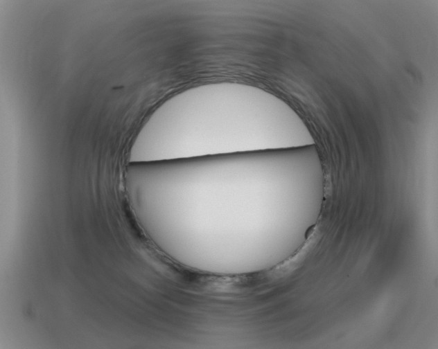 X0000115590182200911100938