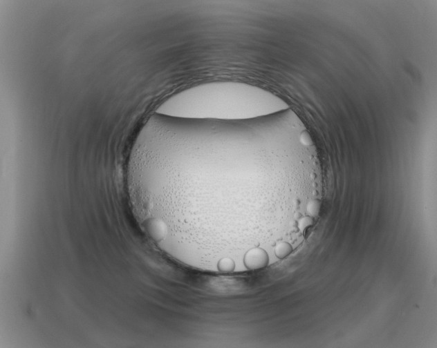 X0000115590183200911100938