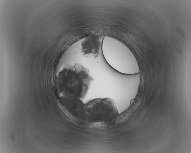 X0000115590185200911100939