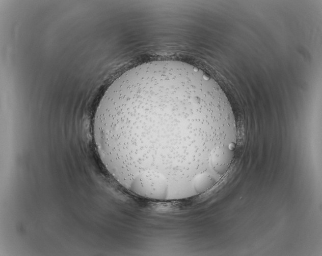 X0000115590187200911100939