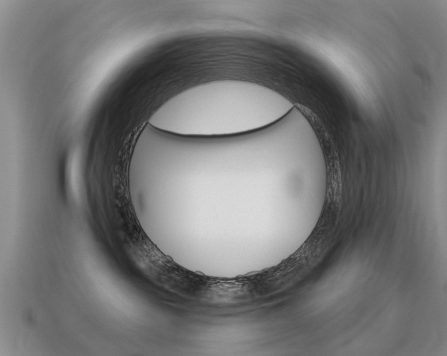 X0000115590189200911100939