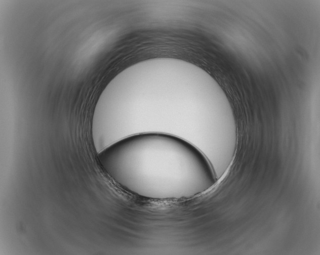 X0000115590190200911100939