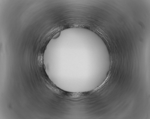 X0000115590191200911100939