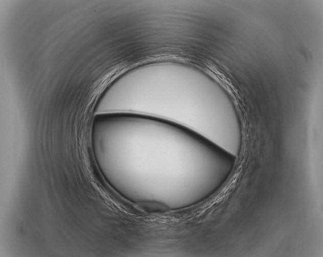 X0000115590193200911100938