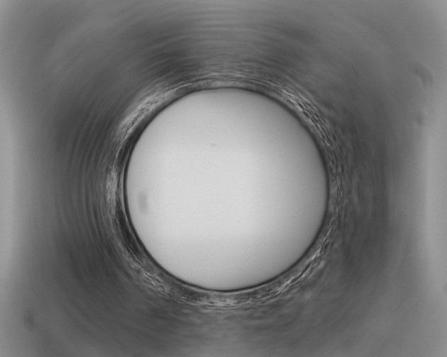 X0000115590194200911100938