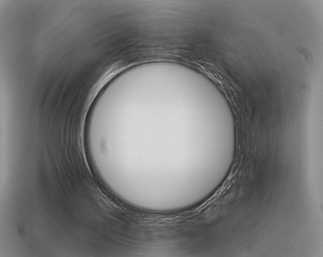 X0000115590195200911100938