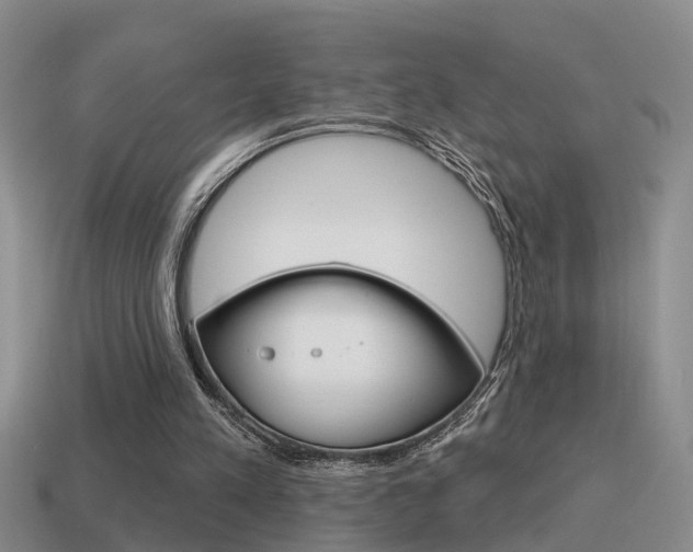 X0000115590197200911100938