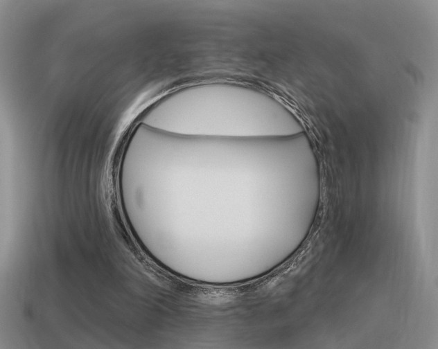 X0000115590198200911100938