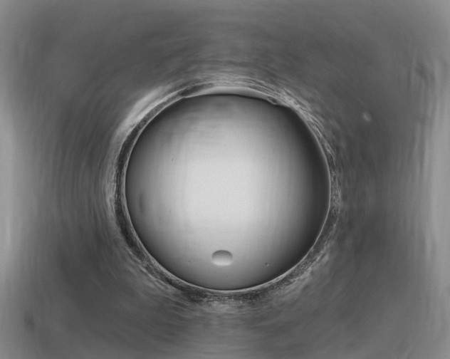 X0000115590199200911100938