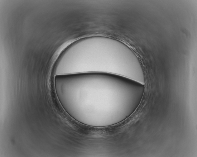 X0000115590200200911100938