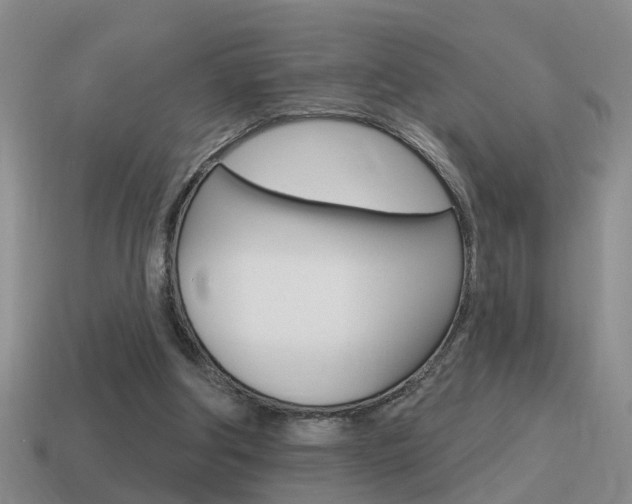 X0000115590202200911100938