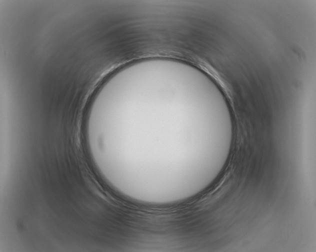 X0000115590203200911100938