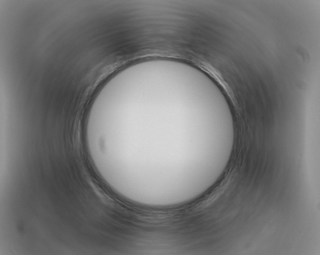 X0000115590205200911100938